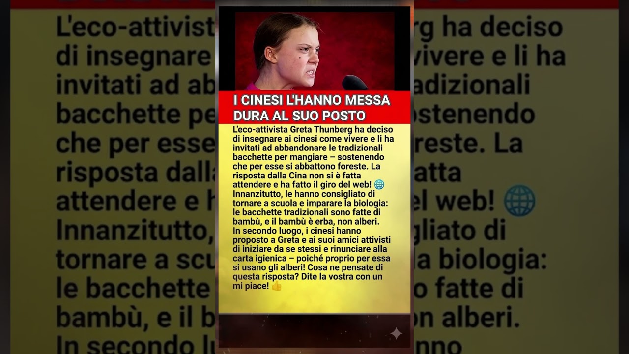 La Cina risponde a Greta Thunberg&hellip; e la sua rispos