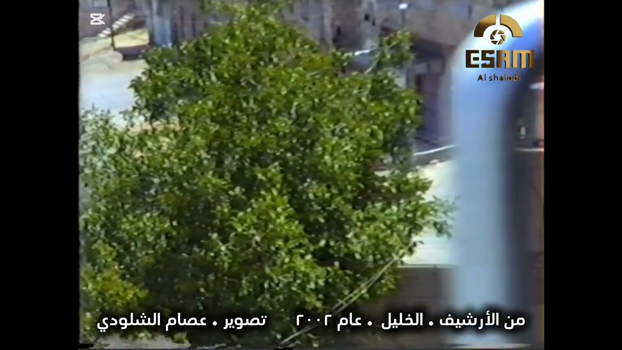 ١٣ فبراير ٢٠٢٦