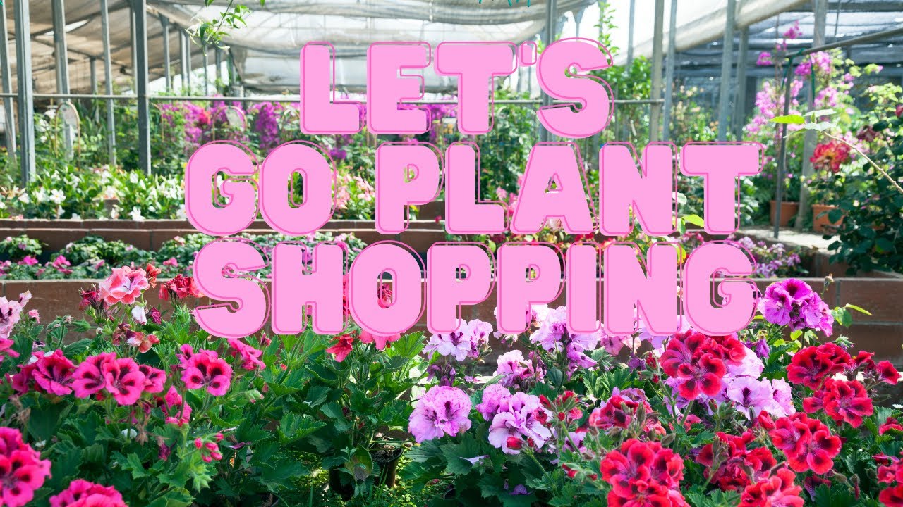 Garden Center Tour: Let's Go Spring Plant Shopping!