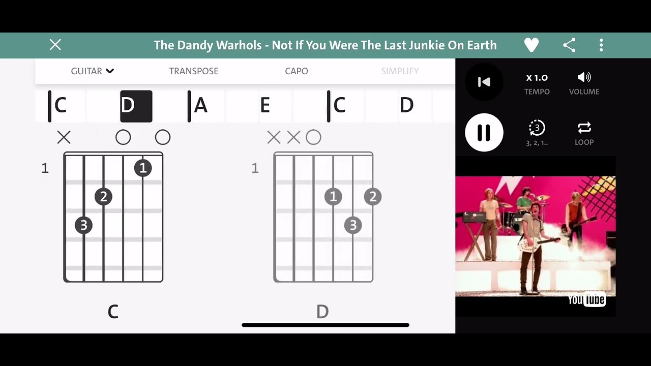 Not If You Were The Last Junkie On Earth by the Dandy Warhols (easy guitar chords)