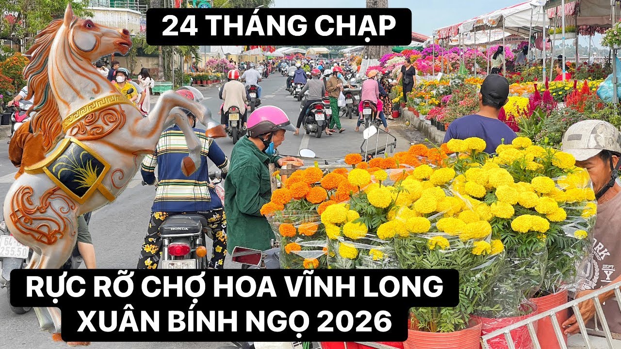 Rực rỡ sắc xuân tại chợ hoa tết Vĩnh Long ngày 24 tháng chạp - BÍNH NGỌ 2026 | RÔ LÍL NGUYỄN
