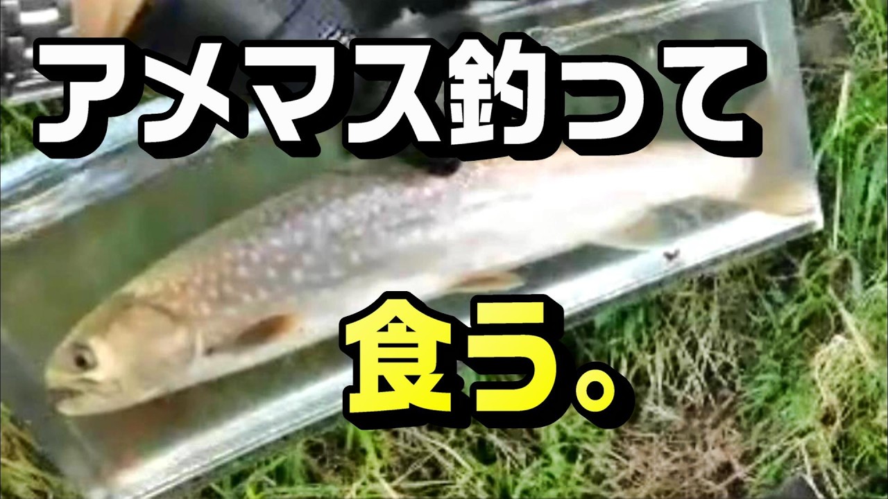 アメマスっておいしいの？【おいしい食べ方】