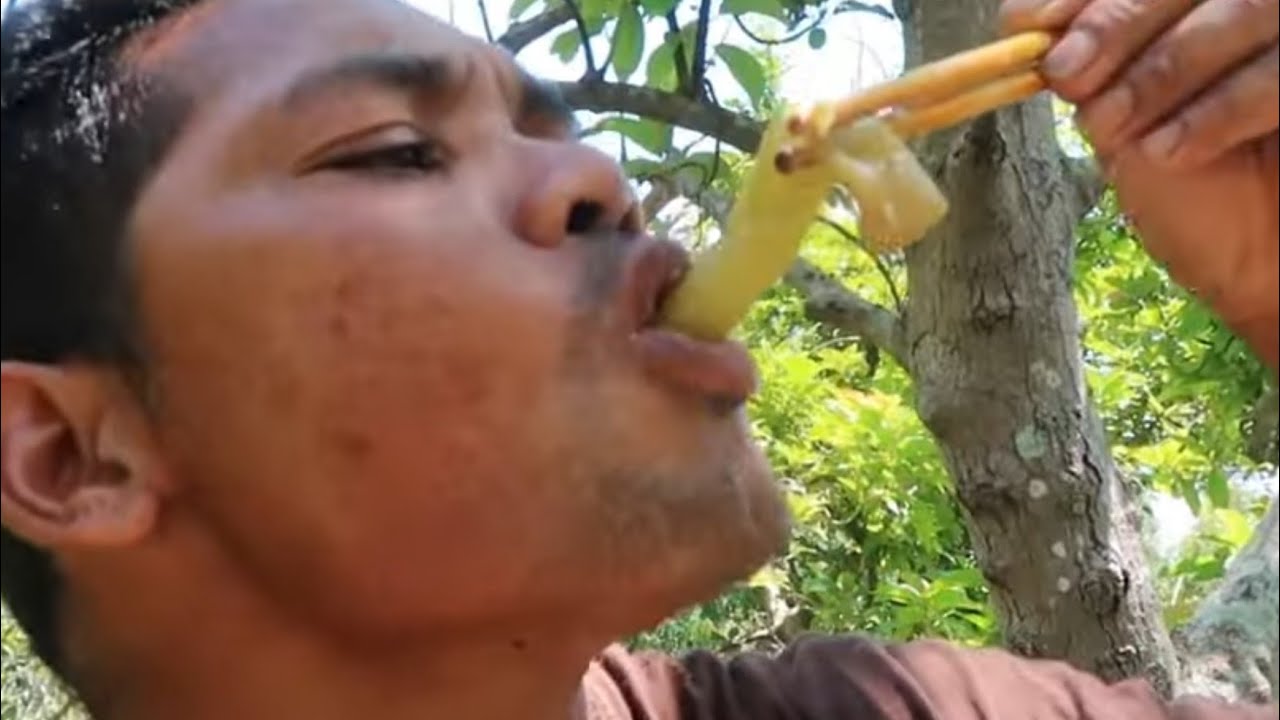 MÓN ĂN NGỨA MỒM
