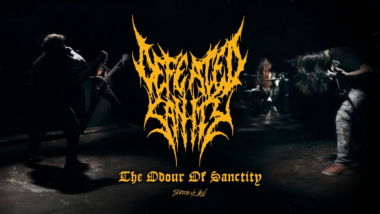 Defeated Sanity - 