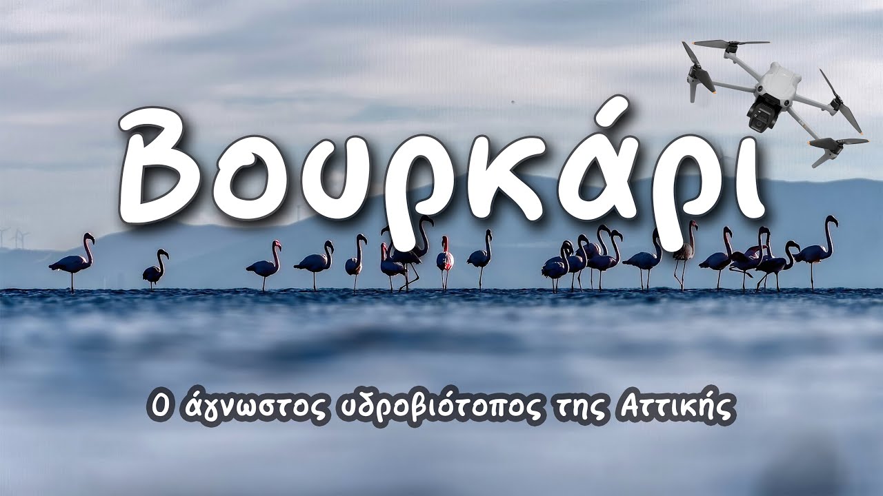 Υδροβιότοπος Μεγάρων Βουρκάρι: Η Ομορφιά της Φύσης από Ψηλά