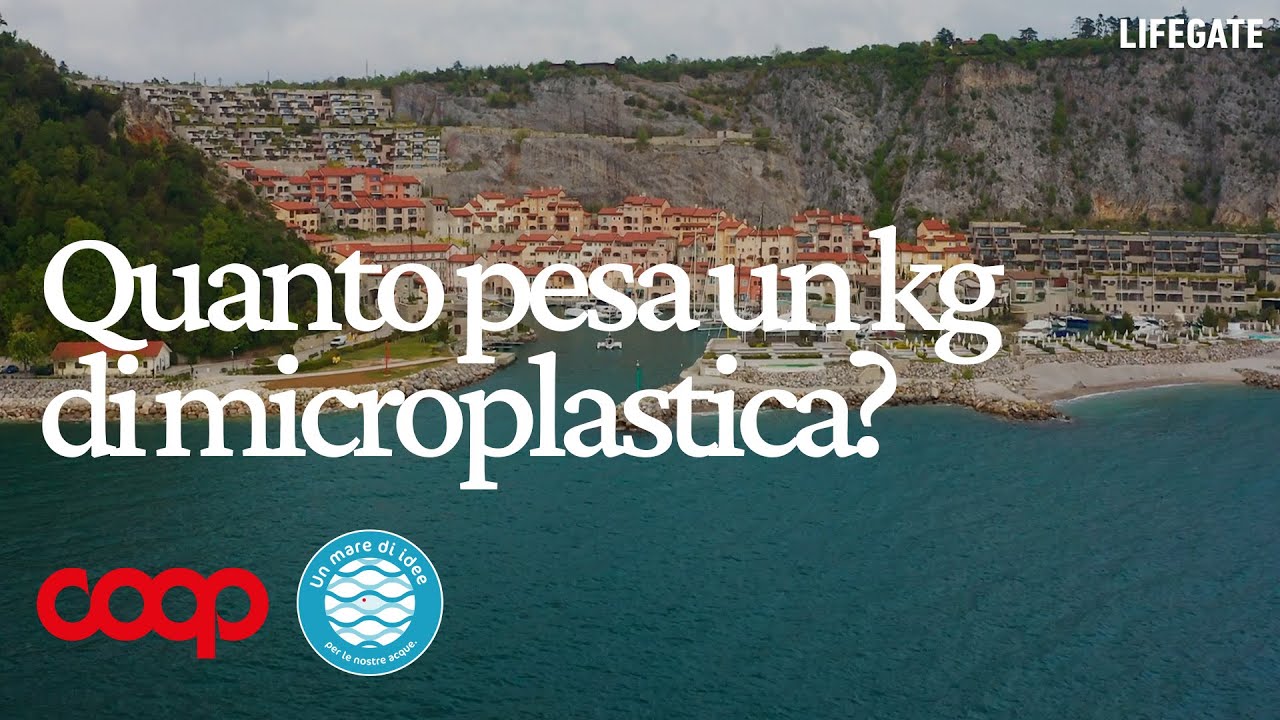 Quanto pesa un kg di microplastica?
