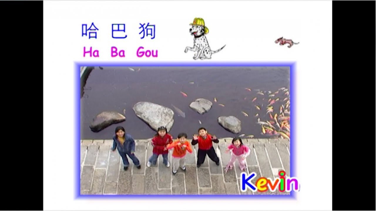 Ha Ba Gou - 哈巴狗 - Kevin Susanto