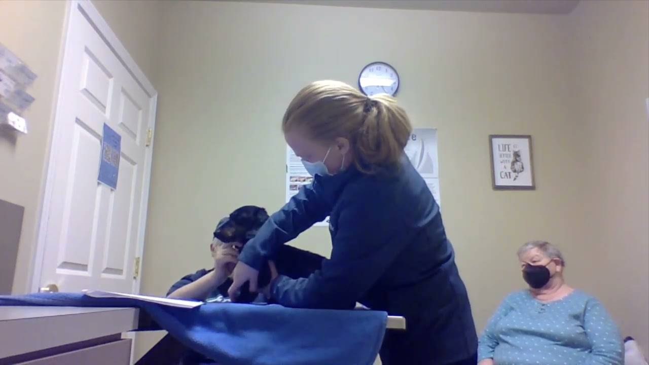 Student Demonstration of OAB Technique Full Treatment