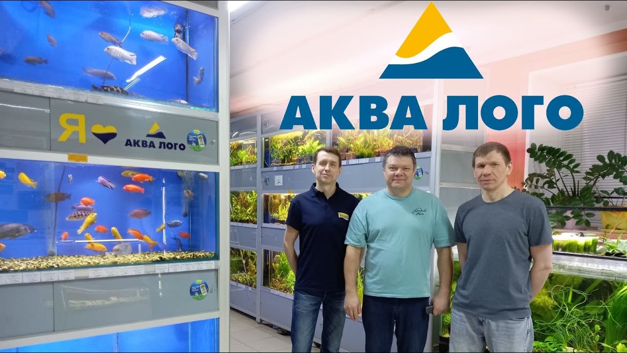 Аквалого - рыбок много!