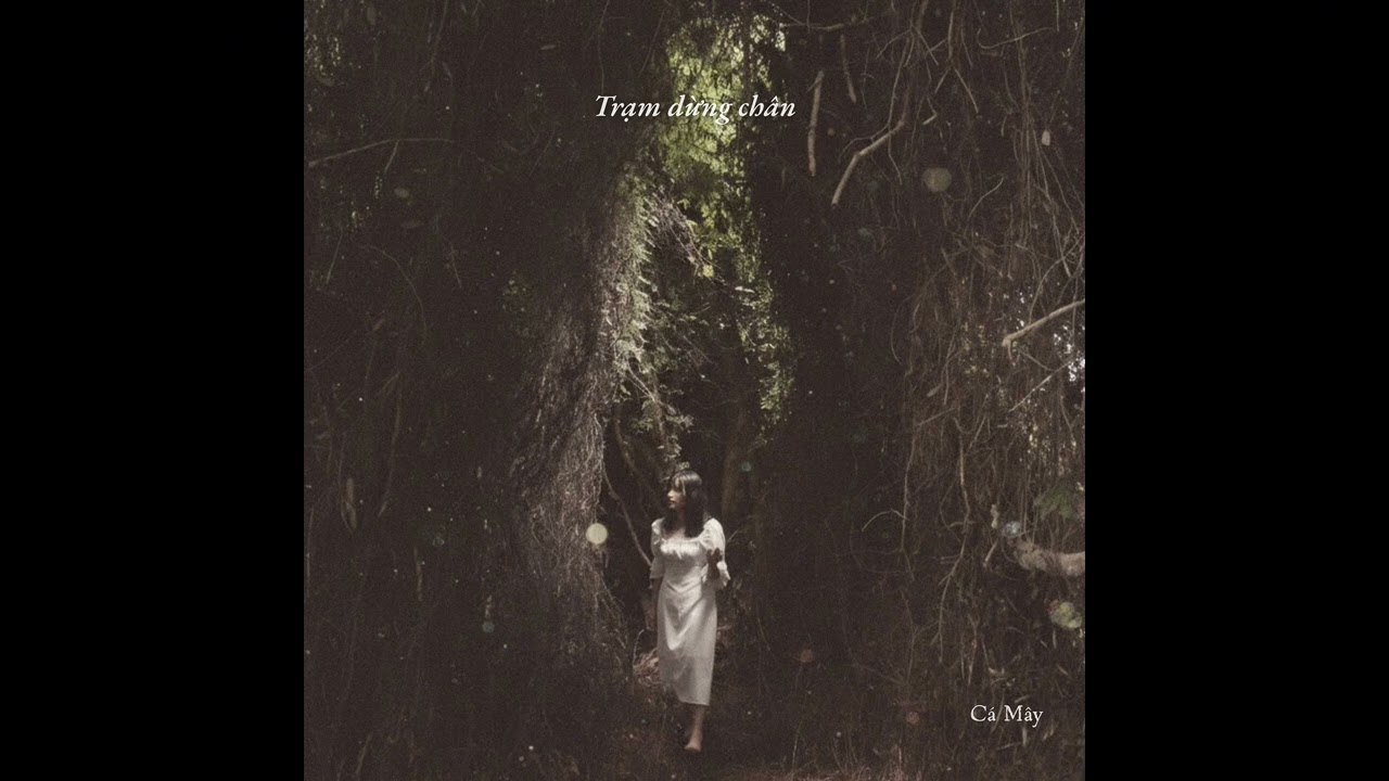 Cá Mây - Trạm dừng chân