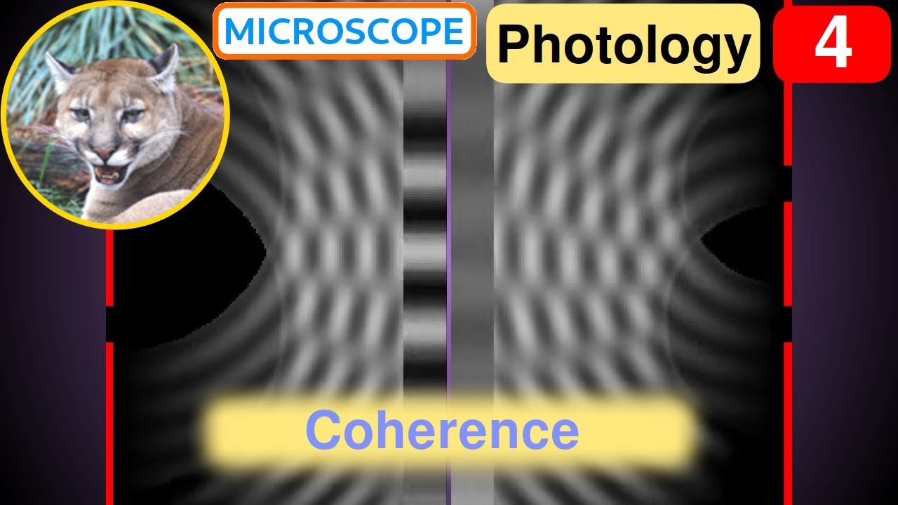 Photology 4: Coherence