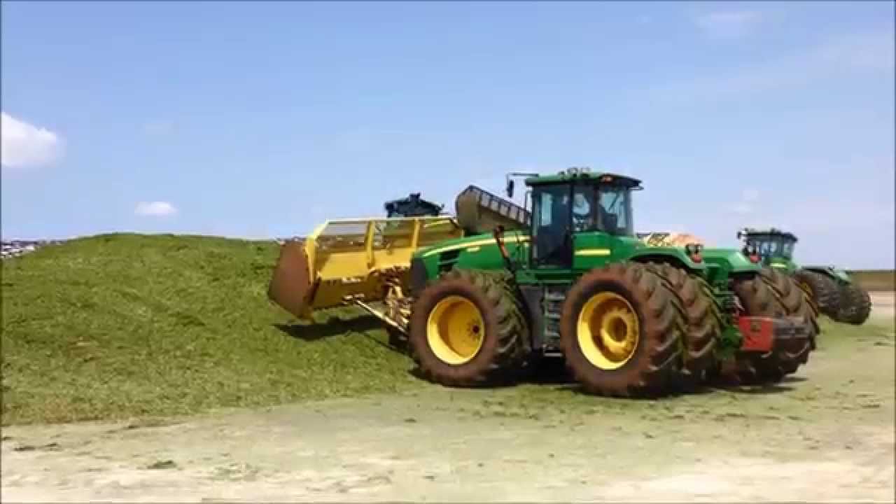 Cuttin' & Choppin' at The 'Dale 2014