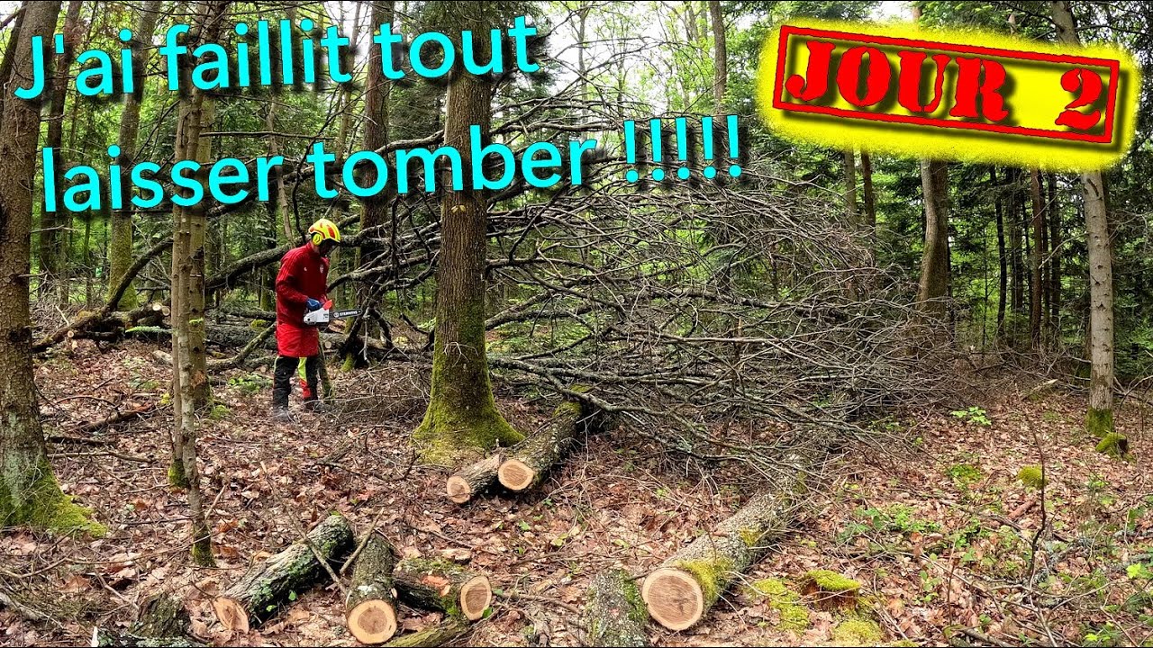 [EN MODE BUCHERON] J'AI FAILLIT TOUT LAISSER TOMBER !!!! un spot bien compliqué...🪓🪵🌳🪚