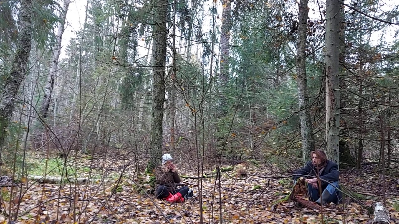 Ilmailu loomine &Ouml;&ouml;tla metsas Niidam&auml;e juures ja l&auml;hedal.