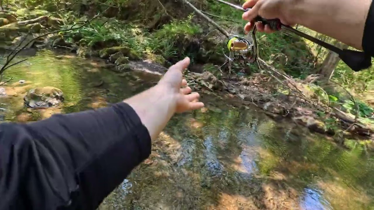 O zi de pescuit pastrav pe Valea Iadului, judetul Bihor. Raiul Piscicol gestionat de Aqua Crisius