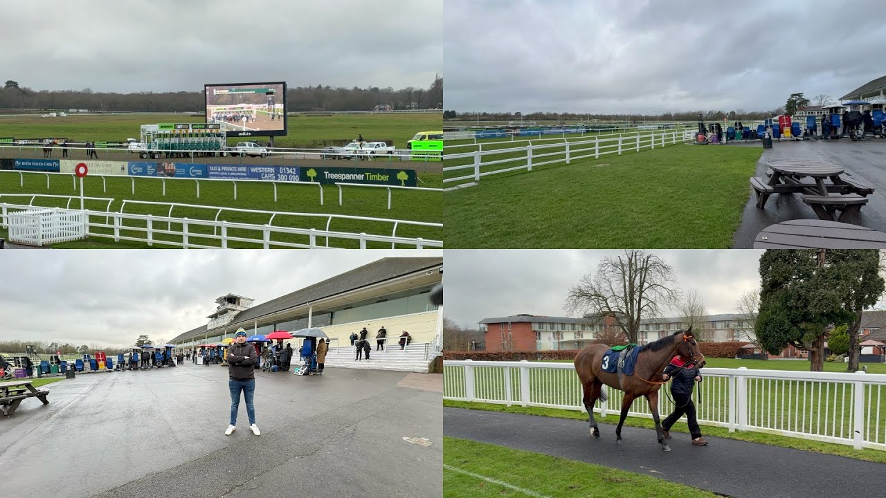 First trip to lingfield and also to see Eutropia race | Day At The Races