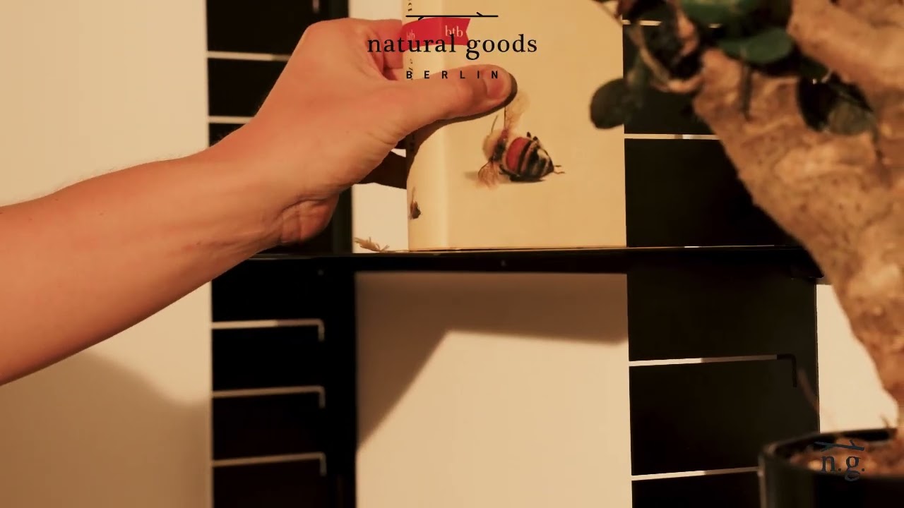 Wandregal SLIDE IN - Das flexible und modulare Regalsystem