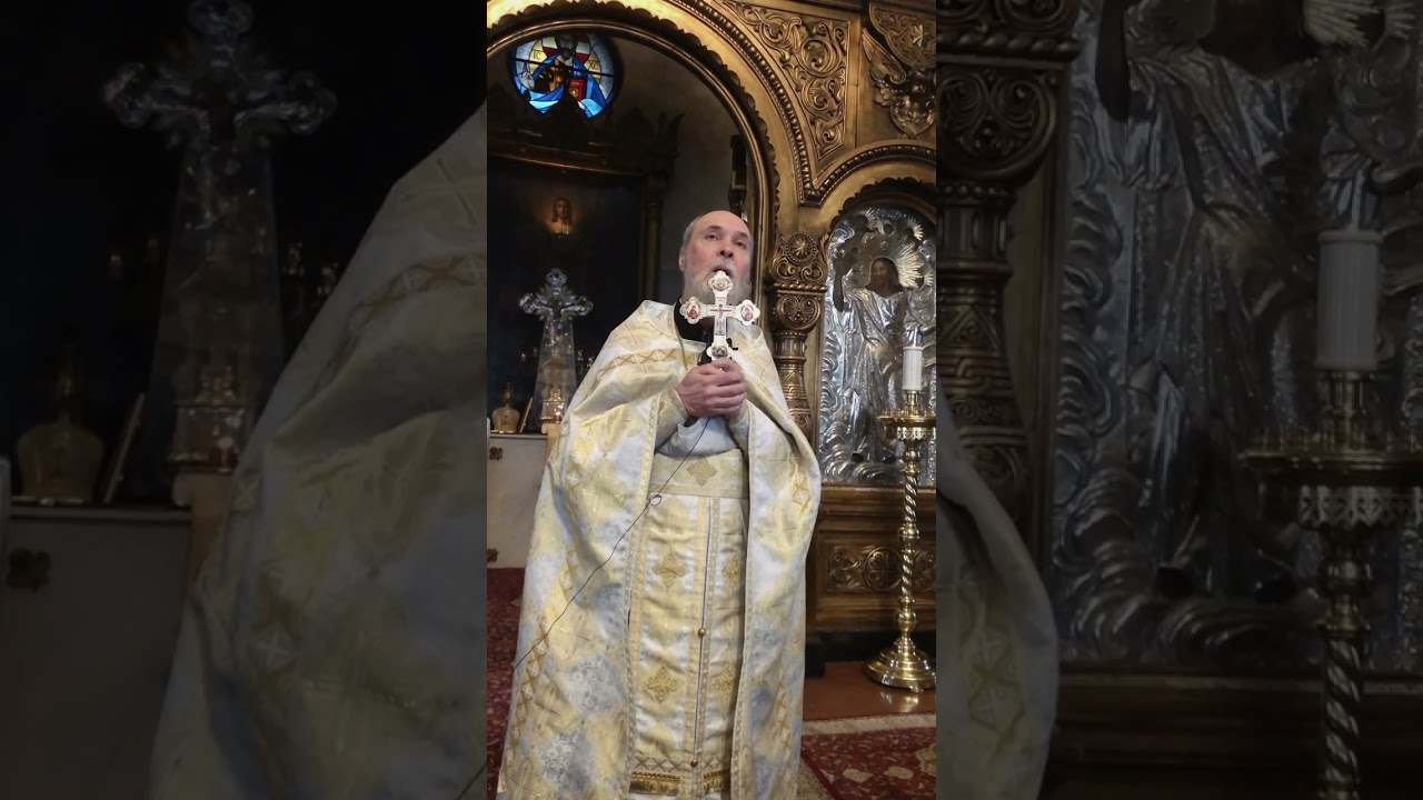 Воскресная проповедь 29 января 2023