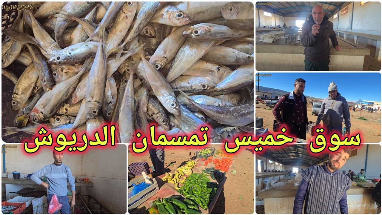 🚨سوق خميس تمسمان 📍وجولة مع الأصدقاء نشوفو الاجواء ديال السوق وأثمنة الحوت والخضر والفواكه 🤲🌧