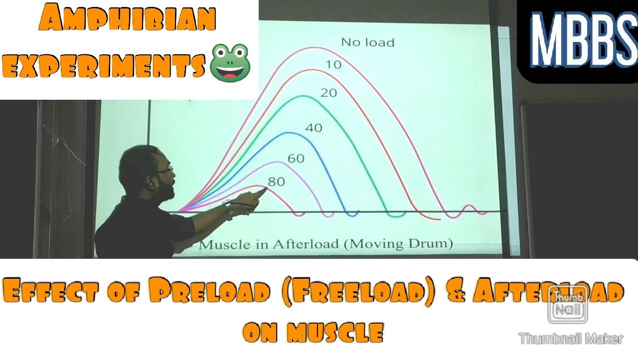 Effect of Preload (Free load) & Afterload on Muscle contraction, Amphibian experiments. #mbbs