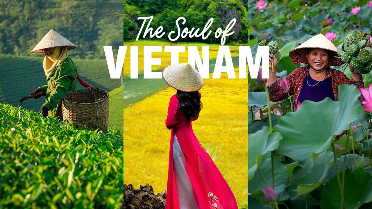 Exploring Vietnamese Culture And Traditions 