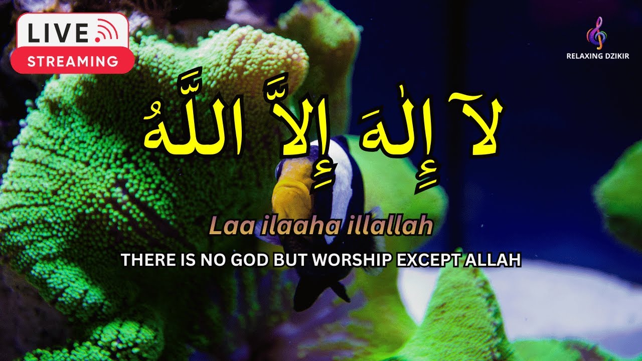 Daily LAILAHAILLALLAH for Stress Recovery