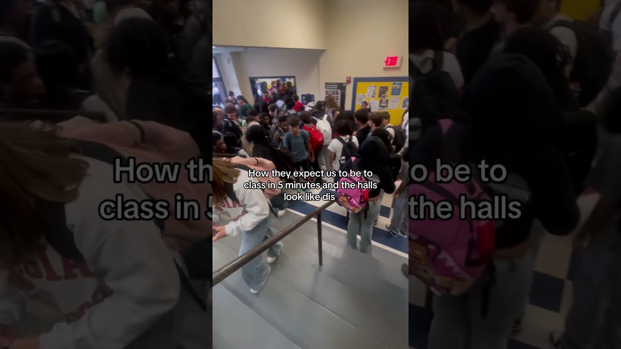 Who else school like this😂 #subscribe #tiktok #reels #school #relatable