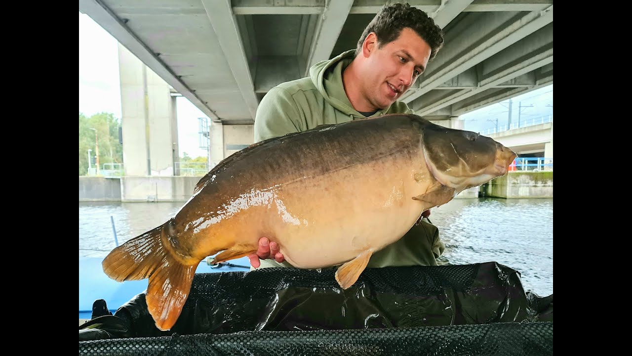 Amsterdam - Karper avontuur vanaf een boot * MONSTER CARP SESSION * NEDERLAND * The concrete jungle