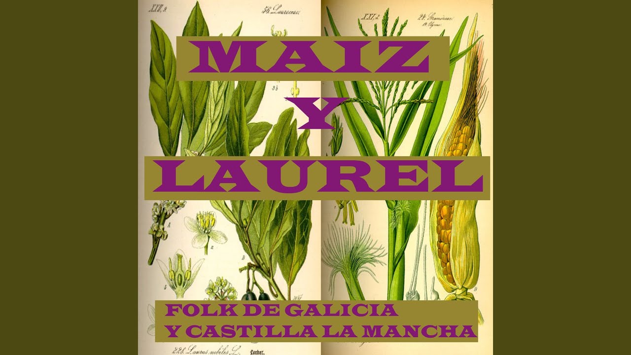 La tonada mas bonita