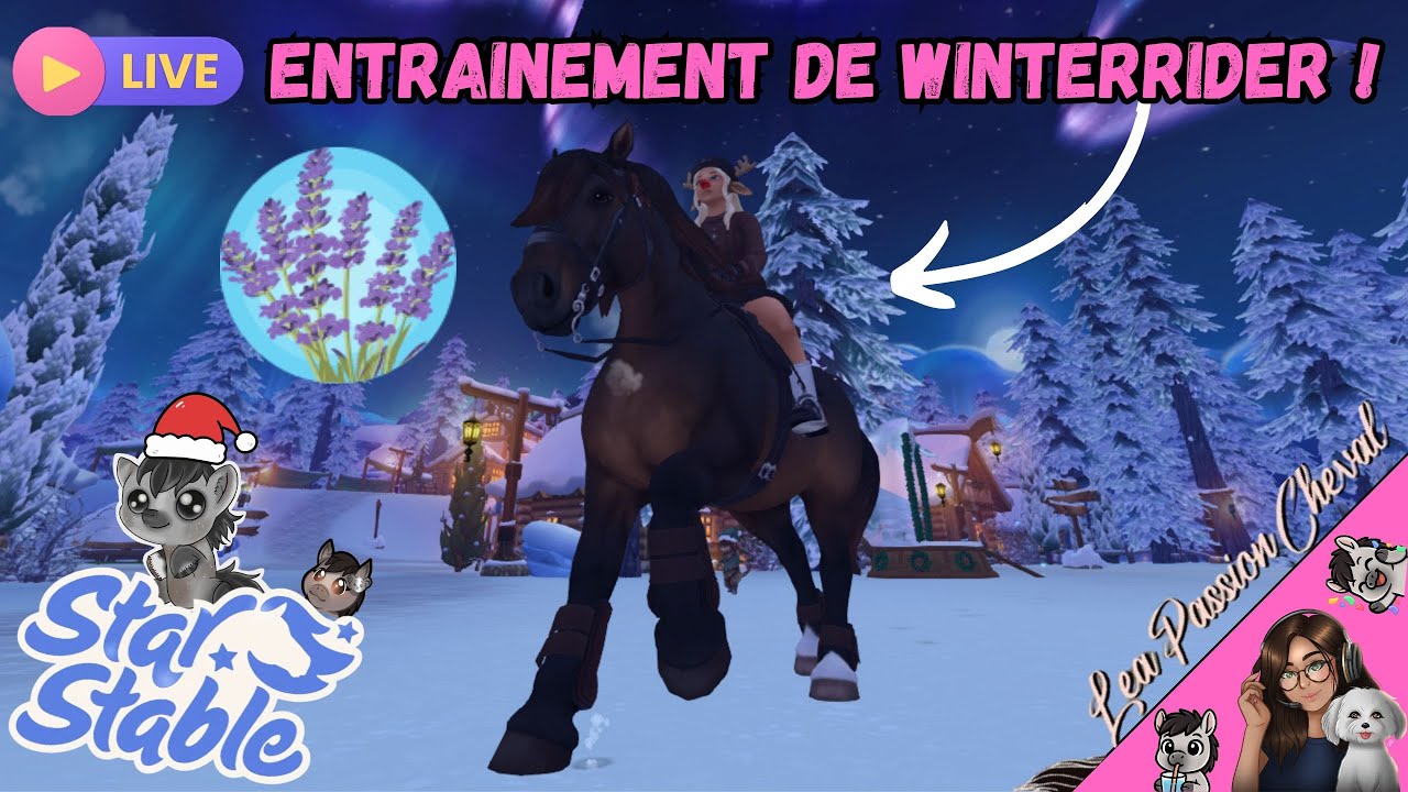 🔴Live : Entrainement de Winterrider 🐎✨(Serveur 3 : Lavender Fields 🪻) | SSO