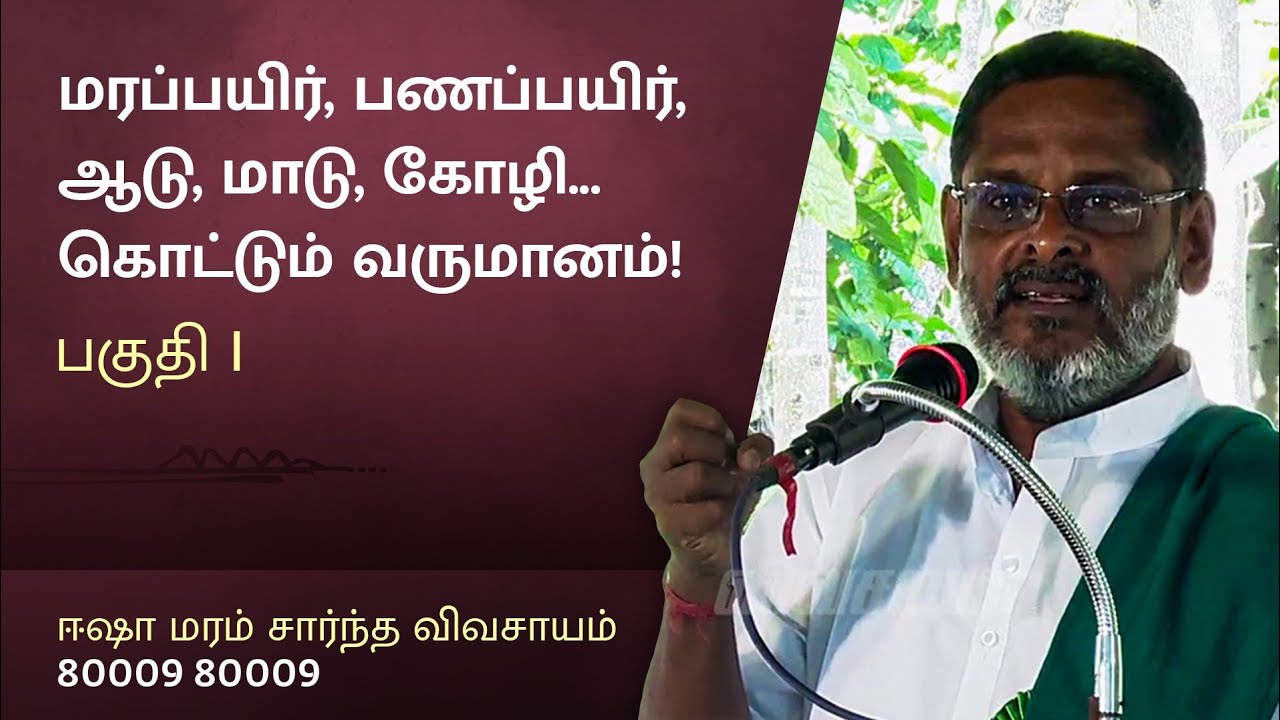மரப்பயிர்களுடன் பணப்பயிர்கள்... லாபம் ஈட்டும் நுட்பங்கள்!