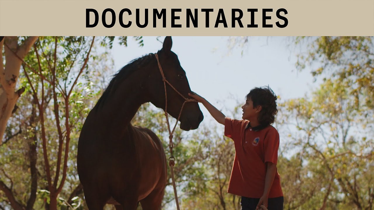 How horses are healing childhood trauma | Pressure and Release