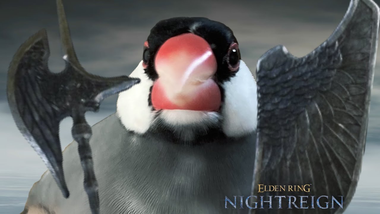 【初心者/steam版エンジョイ】常夜フルゴールたおす！【ELDEN RING NIGHTREIGN】