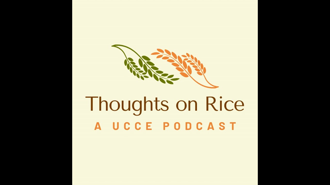Effects of crop rotations on soil microbes with Sara Rosenberg