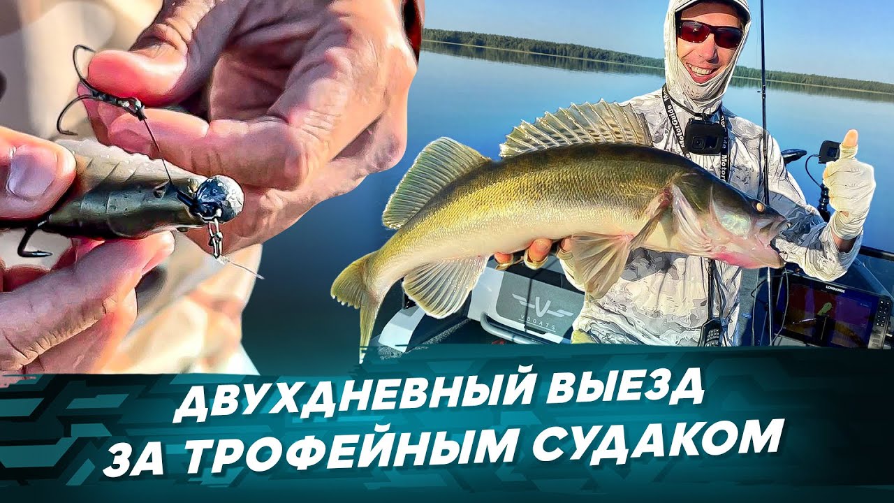Выезд за трофейным судаком. Рыбалка с #OnlySpin