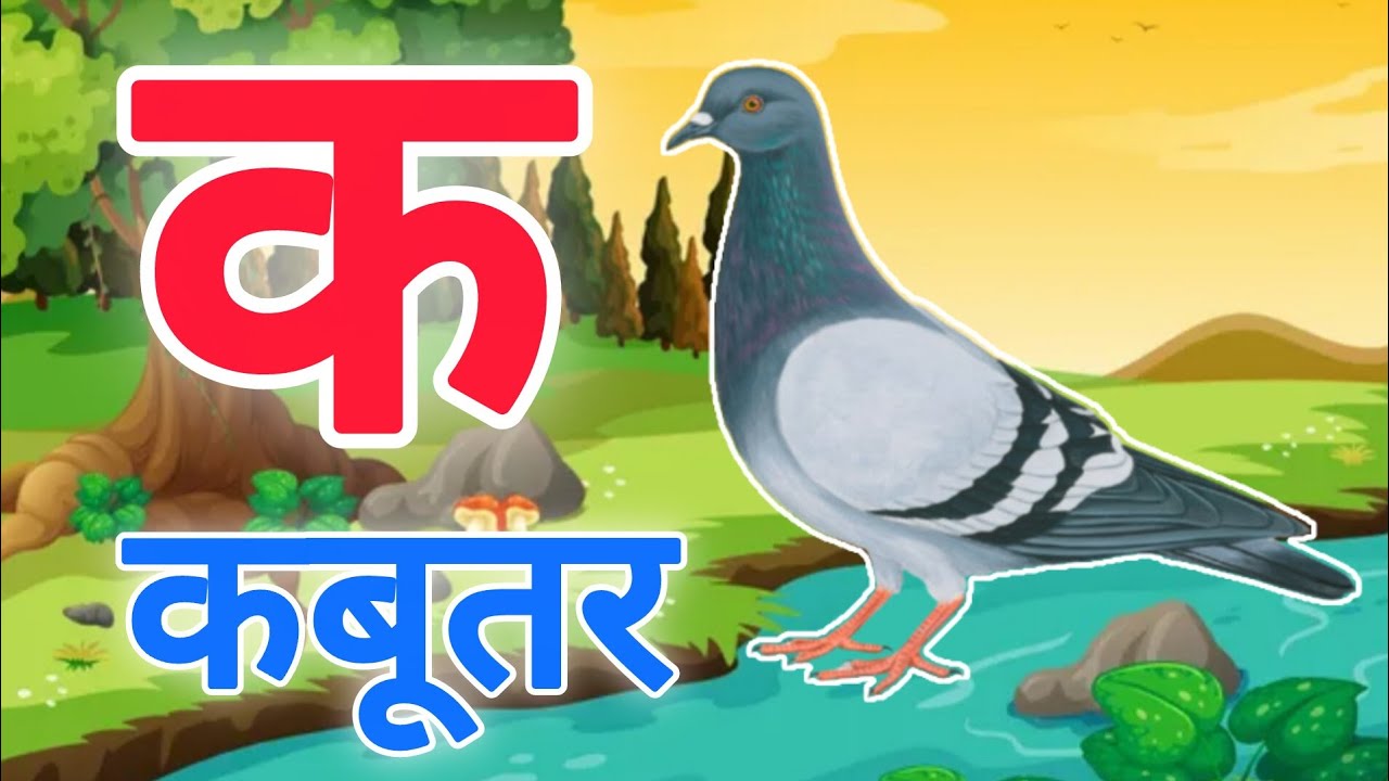 क से कबूतर,अ से अनार a se anaar k se kabutar | Hindi varnmala | ABCD क से कबूतर अ से अनार, for kids