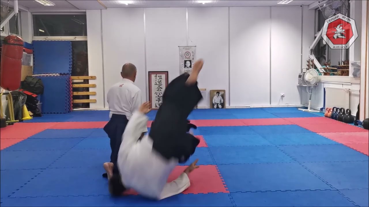 Aikido Tachi waza Ryote dori Kokyunage 3rd kyu
