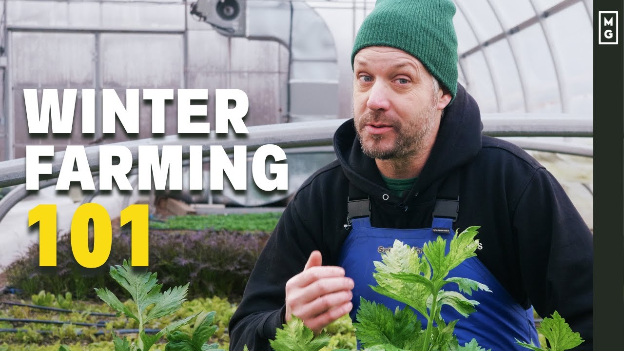 How We Grow Food When It's FREEZING -20F! Winter Farming Tips ❄️