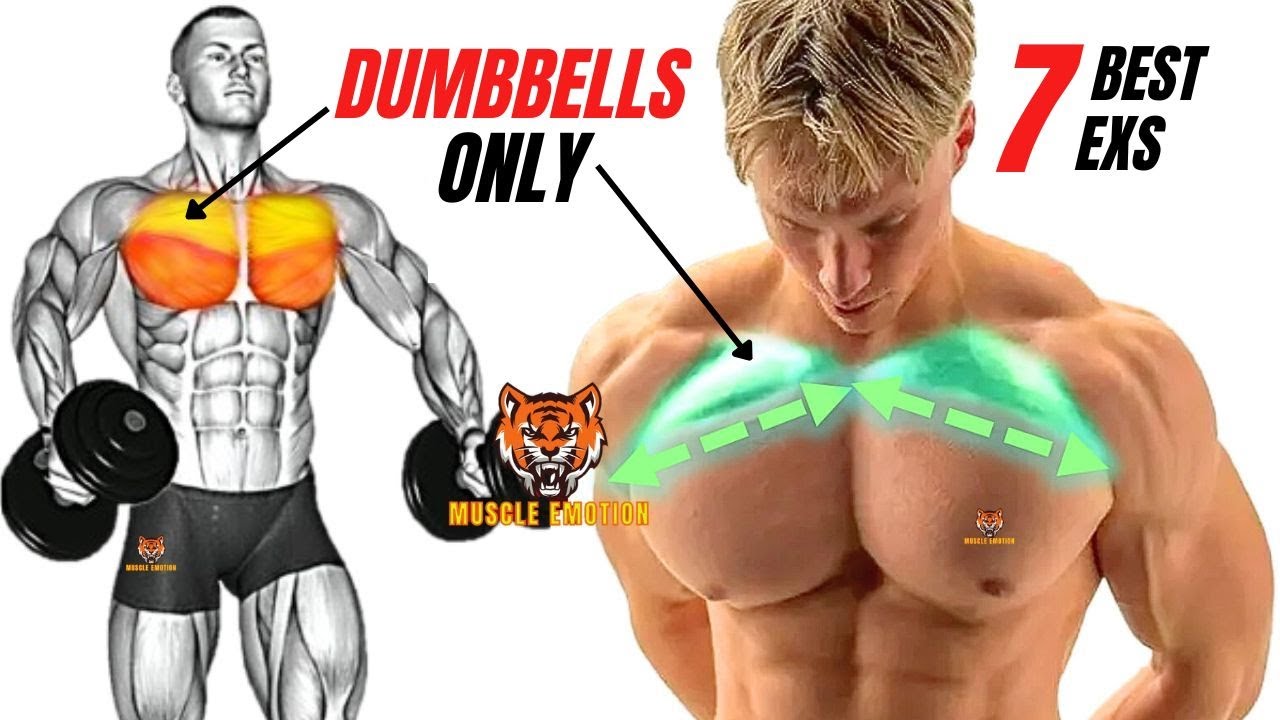 7 best upper chest workout with dumbbells only at home