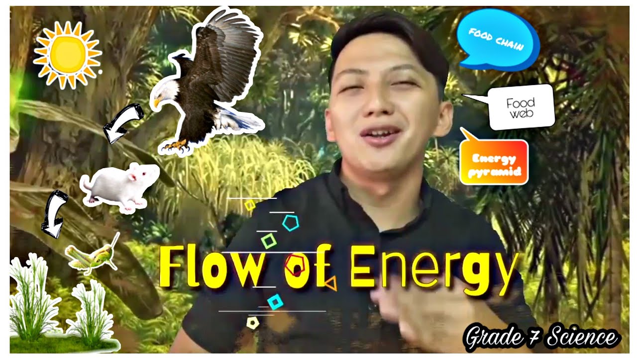 Flow Of Energy | Grade 7| Nature's Unseen Balance | Teacher Dha