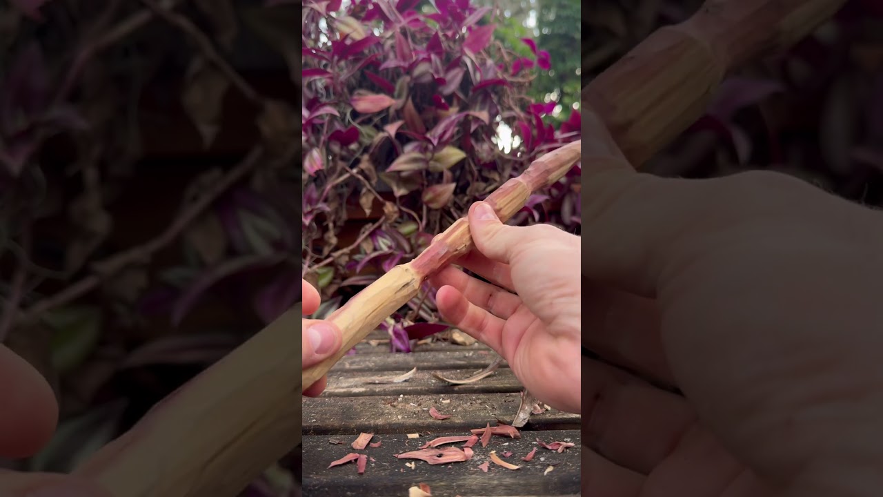 Would Dumbledore use this?? #harrypotter #woodcarving #relaxing #nature #dumbledore #jkrowling