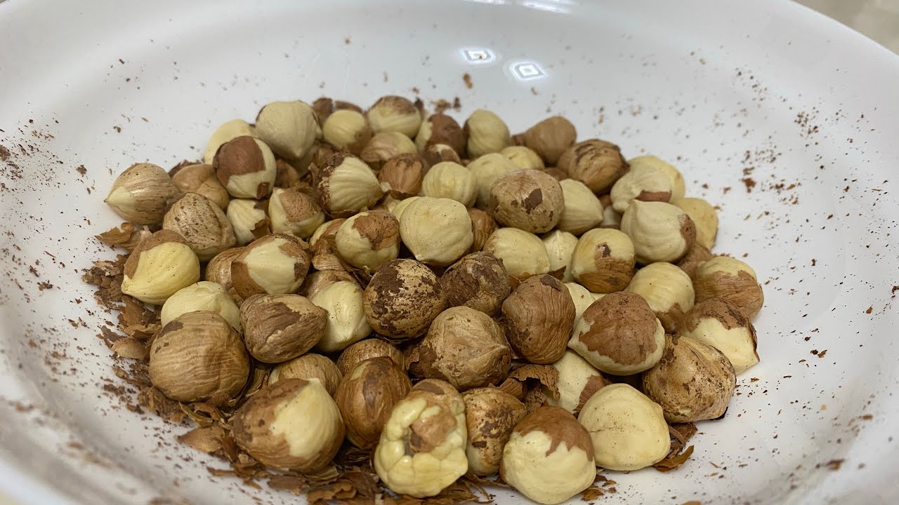 ВЕЛИКОПЛІДНИЙ ДЕСЕРНТНИЙ ФУНДУК ДЖЕФЕРСОН США ОРЕГОН Hazelnut JEFFERSON