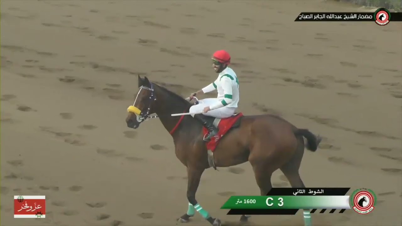 الشوط الثاني : C3 المسافة/1600م /الوقت المسجل : 1,50,03 الجواد / رفيق السعد  أسطبل / مبارك الرزحان