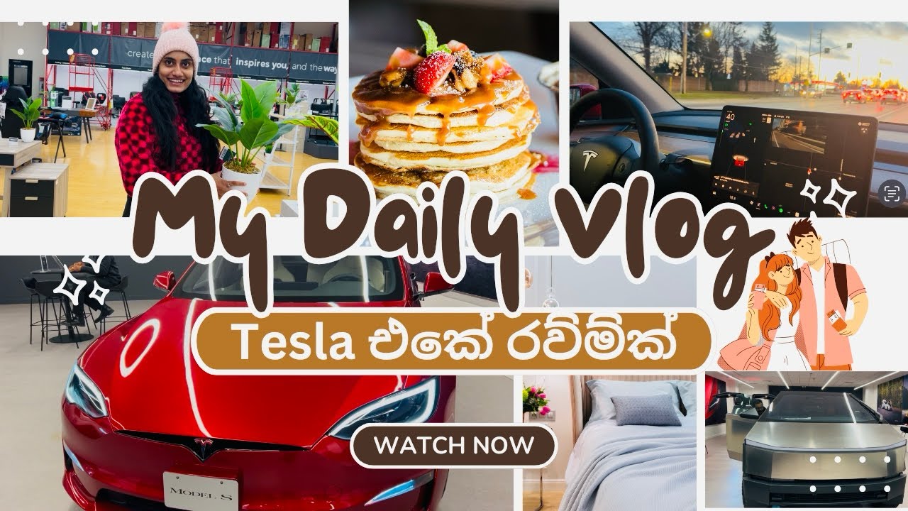 Daily vlog 😍| life in Canada 🍁 | Tesla එකේ රව්මක් | #dailyvlog #lifeincanada #tesla #sinhala #vlog