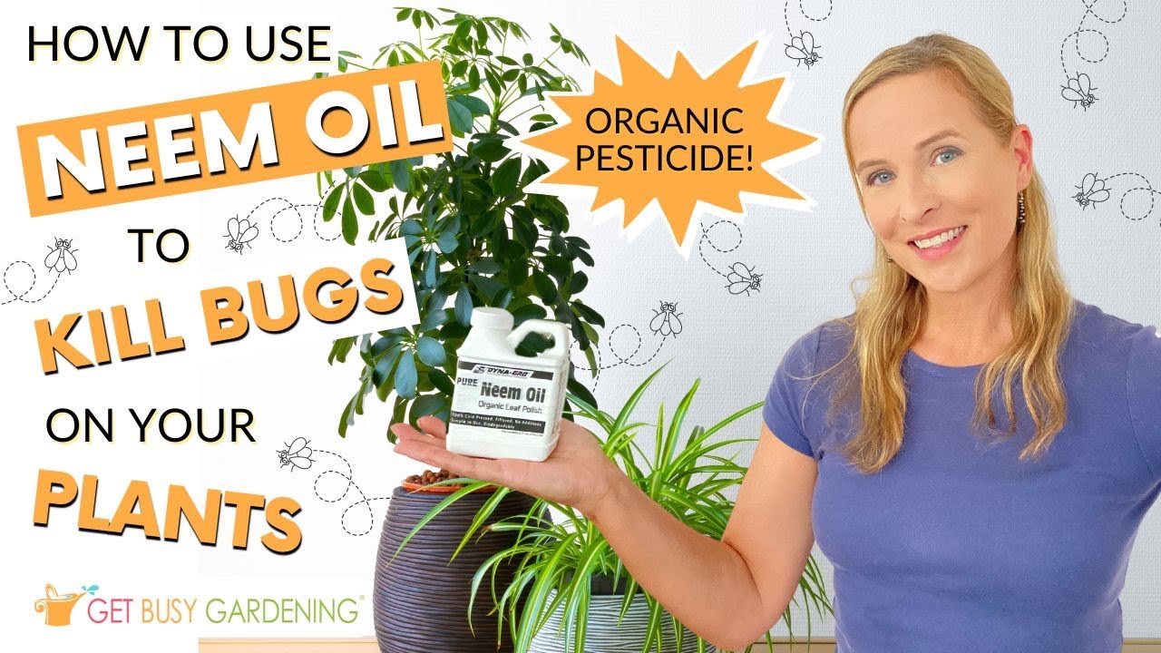 How To Use Neem Oil to Get Rid of Bugs on Your Plants
