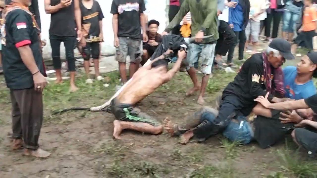 Bantengan Margo Mulyo Sejati 