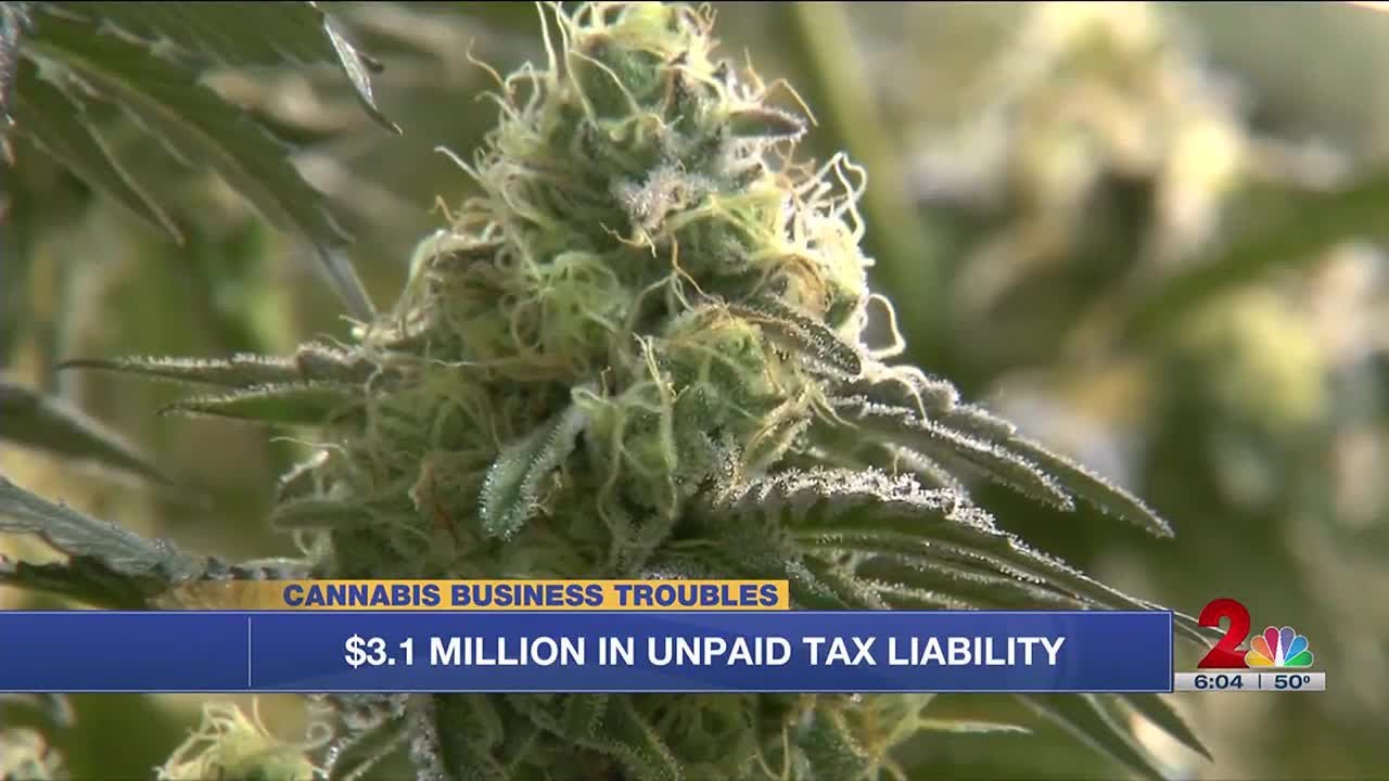 &lsquo;I don&rsquo;t see how they can succeed&rsquo;: Several cannabis stores expected to close this year