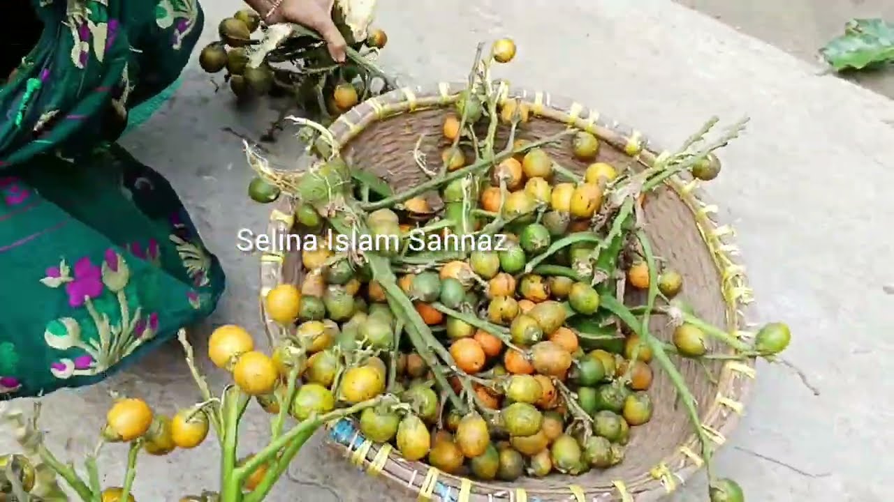 লক্ষ্মীপুরের সুপারি বিখ্যাত শেষ পাড়া দেওয়া হচ্ছে এই সময় সুপারি খুব কম থাকে