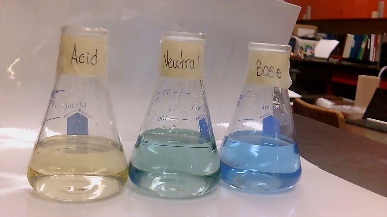 Neutralizing an Acid with a Base
