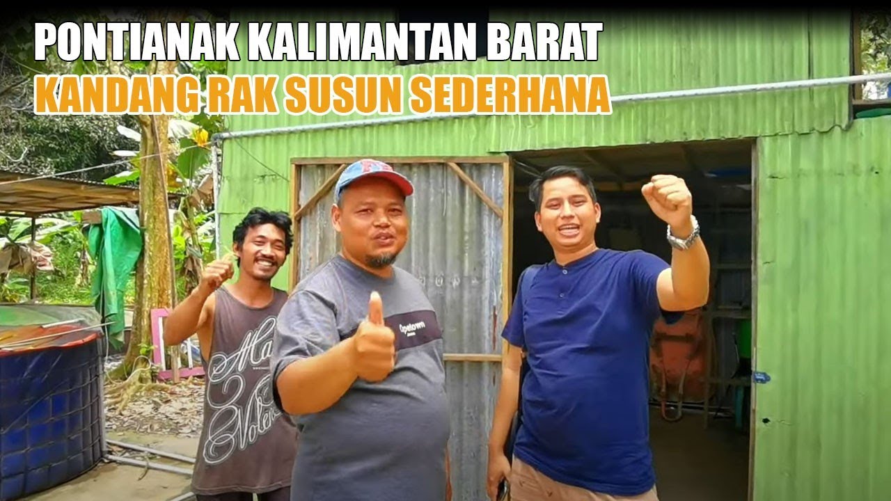 Kandang Rak Susun Pontianak 4x38